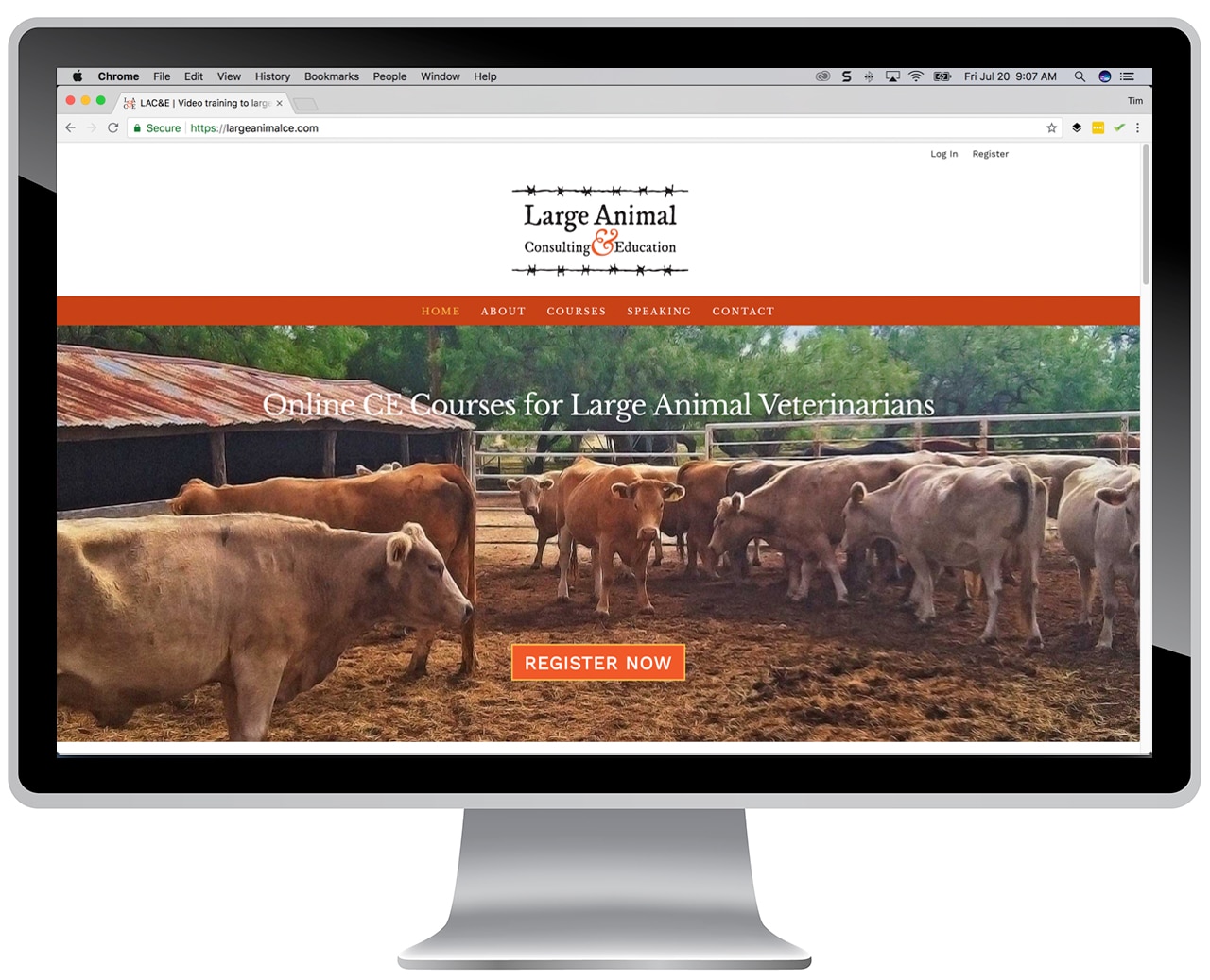  Large Animal Consulting & Education